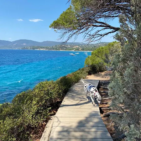 Golfe St Tropez Magique T2 Duplex Vue Mer Piscine, Garage *
